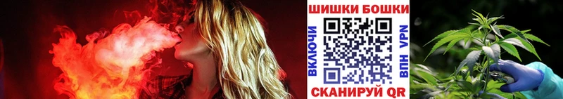 Бошки Шишки планчик  ОМГ ОМГ онион  Иланский 